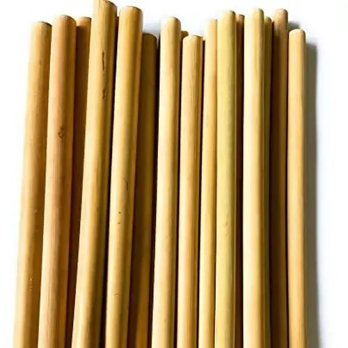 Biodegradable Drinking Straws