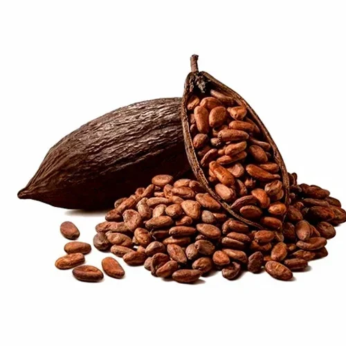 Cacao Beans